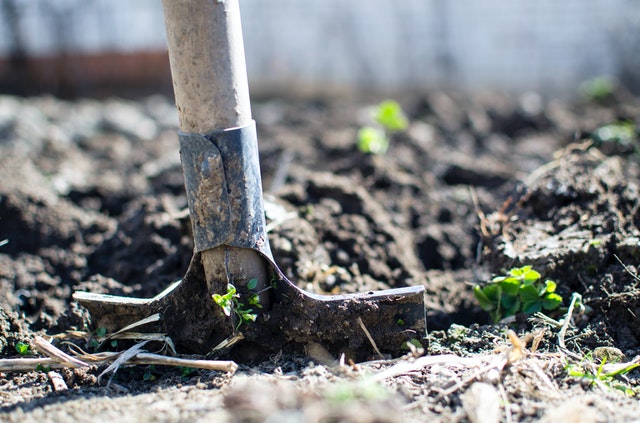 soil backyard farm