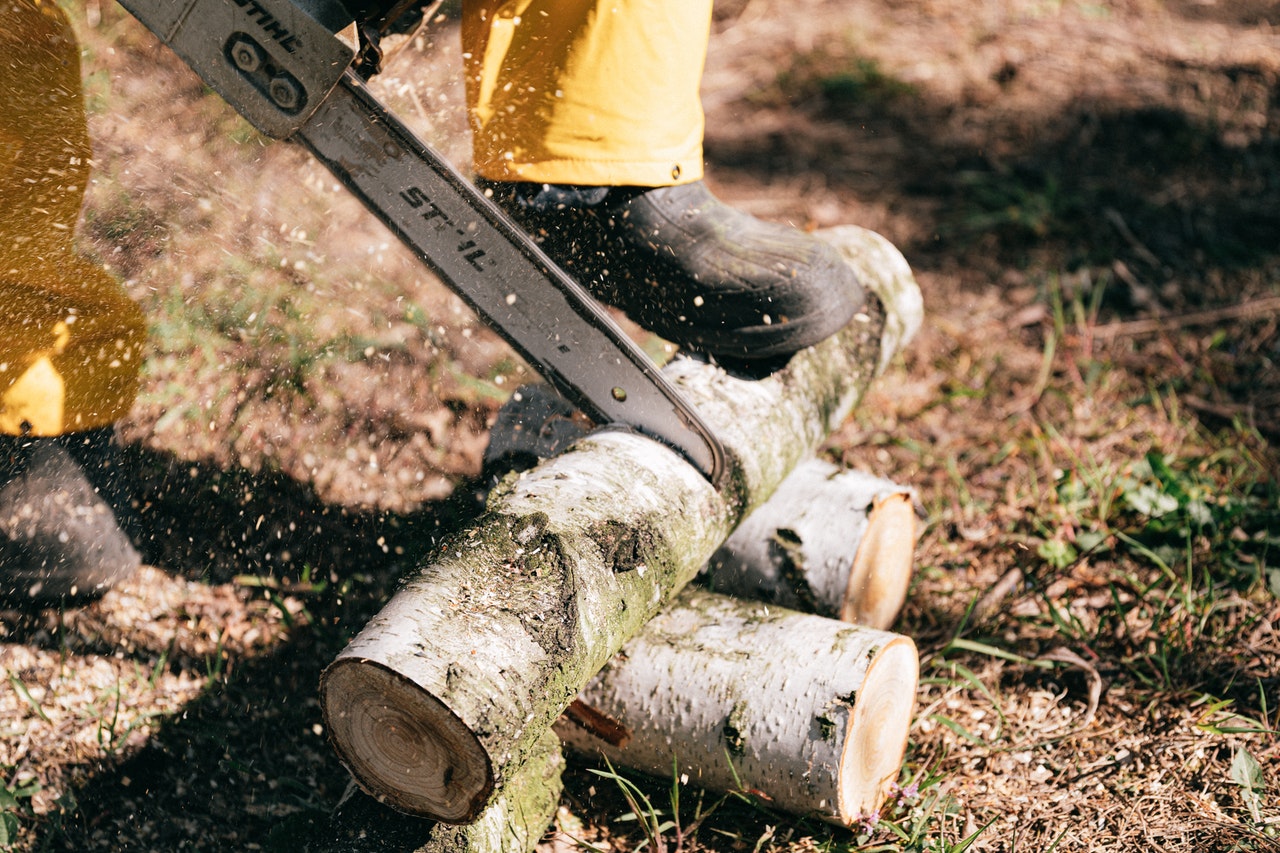 cutting wood lumber